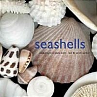 Seashells (Hardcover)