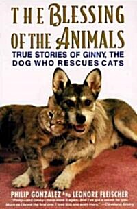 The Blessing of the Animals: True Stories of Ginny, the Dog Who Rescues Cats (Paperback)