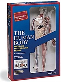 [중고] The Human Body (Paperback)