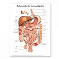 Diseases of the Digestive System Anatomical Chart in Spanish (Enfermedades del Sistema Digestivo) (Other)
