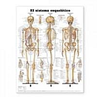  El Sistema Esqueletico/Skeletal System Anatomical Chart in Spanish (Chart)