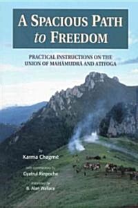 A Spacious Path to Freedom (Paperback)
