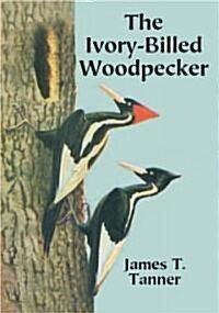 The Ivory-Billed Woodpecker (Paperback)