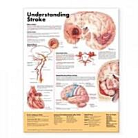 Understanding Stroke Anatomical Chart (Other, 2)