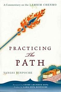 [중고] Practicing the Path: A Commentary on the Lamrim Chenmo (Paperback)
