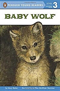 [중고] Baby Wolf (Paperback)