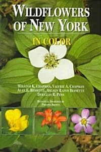 Wildflowers of New York in Color (Paperback)