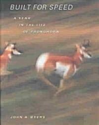 Built for Speed: A Year in the Life of Pronghorn (Hardcover)