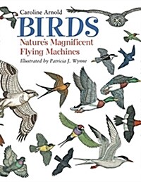 [중고] Birds: Nature‘s Magnificent Flying Machines (Paperback)