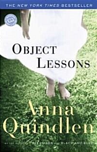 Object Lessons (Paperback)