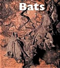 Bats (Library)