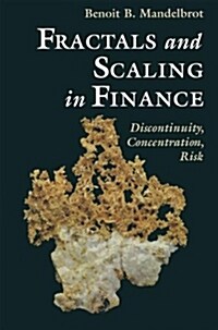 Fractals and Scaling in Finance: Discontinuity, Concentration, Risk. Selecta Volume E (Hardcover, 1997)