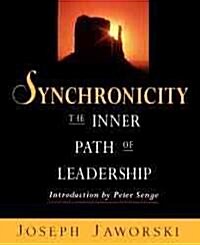 Synchronicity (Paperback)