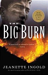 The Big Burn (Paperback)