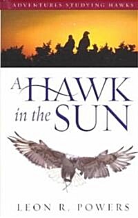 A Hawk in the Sun (Paperback, 1st)