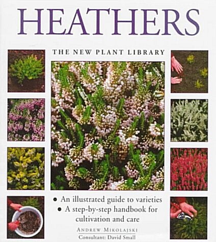 Heathers (Hardcover)