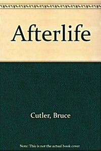 Afterlife (Paperback)