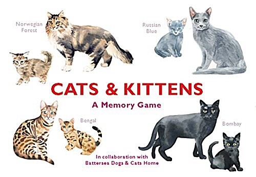 Cats & Kittens: A Memory Game (Board Games)