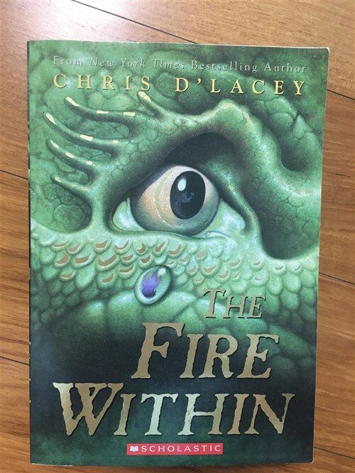 [중고] The Fire Within (Paperback)