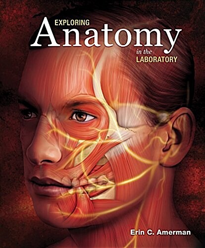 Exploring Anatomy in the Laboratory (Loose Leaf, 1)