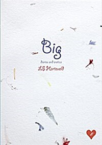 Big Diaries and Erotica (Paperback)