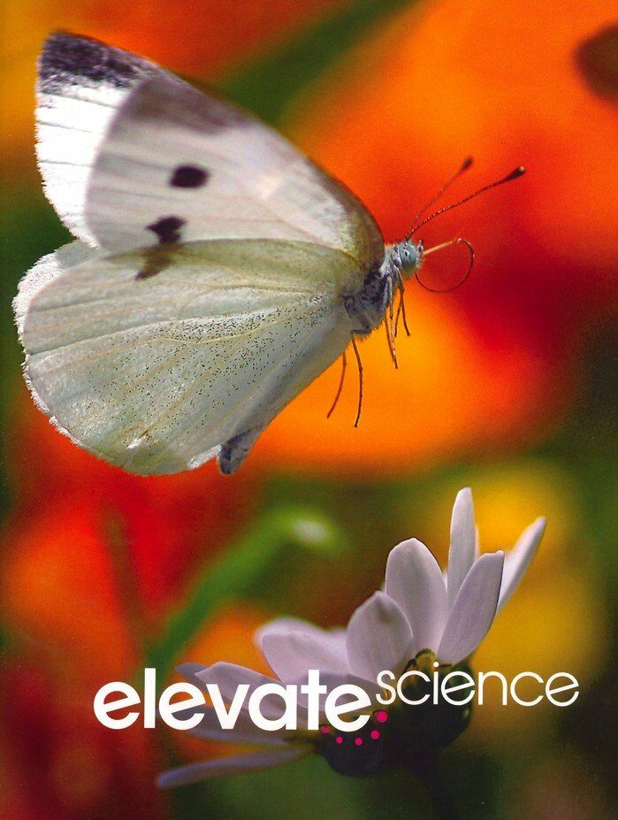 Elevate Elementary Science 2019 Student Edition Grade 2 (Paperback)