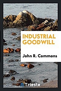 Industrial Goodwill (Paperback)