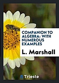 Companion to Algebra: With Numerous Examples (Paperback)