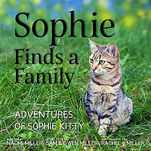 Sophie Finds a Family (Paperback)