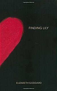 Finding Lily (Paperback)