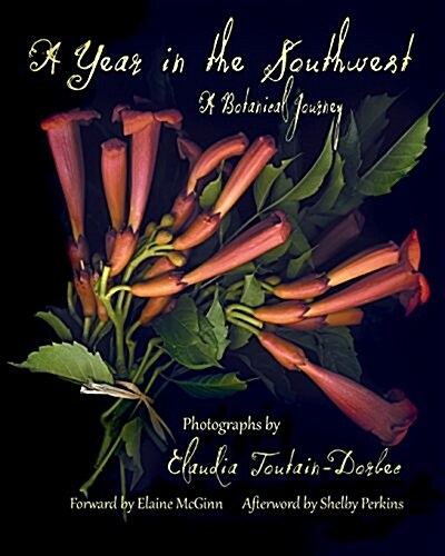 A Year in the Southwest: A Botanical Journey (Paperback)