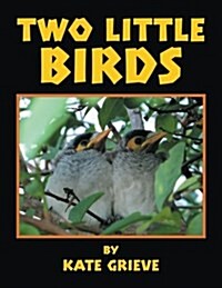 Two Little Birds (Paperback)