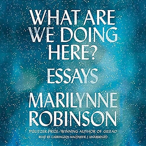 What Are We Doing Here?: Essays (MP3 CD)