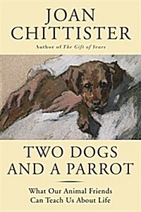 Two Dogs and a Parrot: What Our Animal Friends Can Teach Us about Life (Paperback)