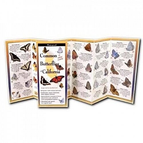 Common Butterflies of California (Other)