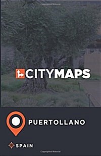 City Maps Puertollano Spain (Paperback)