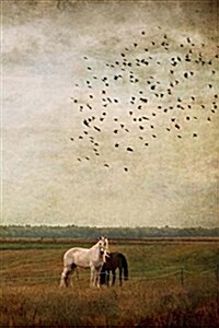 Horses Notebook (Paperback)
