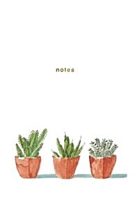 Notes: Succulent Plant Notebook: 175-Page Wide-Ruled Notebook (Paperback)