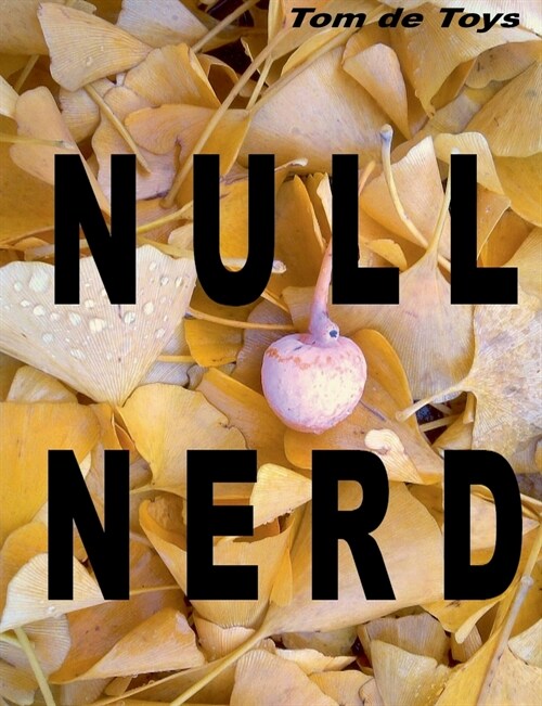 Null Nerd: Nat?liche Nondualit? (Paperback)