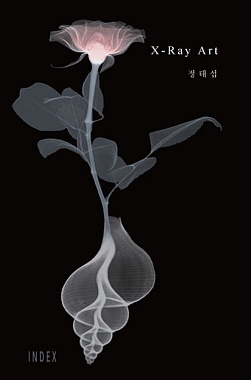 X-Ray Art