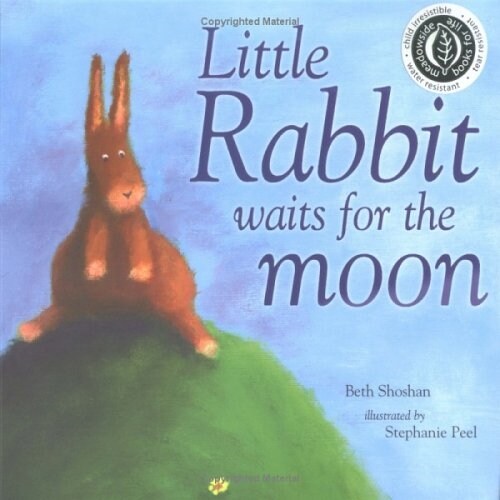 Little Rabbit Waits for the Moon (Paperback)
