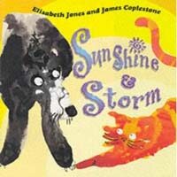 Sunshine and Storm (Paperback)