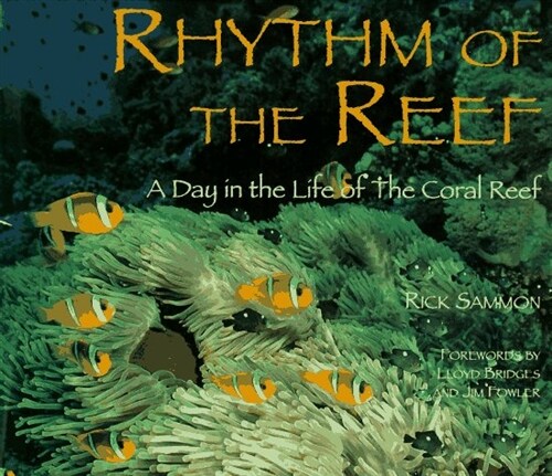 Rhythm of the Reef (Hardcover)