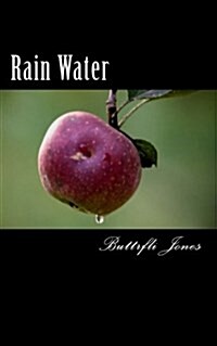 Rain Water (Paperback)