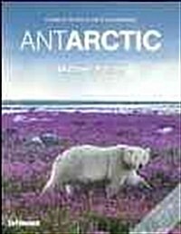 Antarctic: A Tribute to Life in the Polar Regions (Paperback)