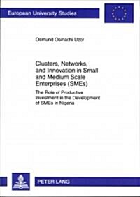 Clusters, Networks, and Innovation in Small and Medium Scale Enterprises (Smes): The Role of Productive Investment in the Development of Smes in Niger (Paperback)