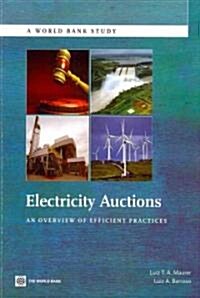 Electricity Auctions: An Overview of Efficient Practices (Paperback)
