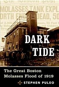 Dark Tide (Hardcover)