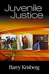 Juvenile Justice: Redeeming Our Children (Paperback)