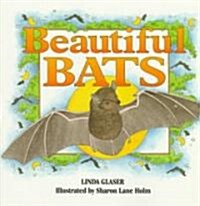 Beautiful Bats (Paperback)